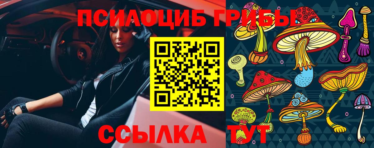 дарнет шоп  Псилоцибиновые грибы Cubensis  Вход с VPN  Галлюциногенные грибы MAGIC MUSHROOMS  Нововоронеж 